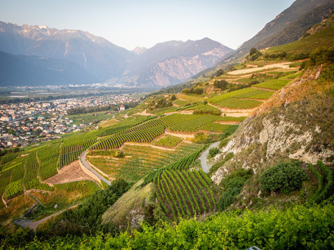 Alps Spirits – B&B Studio