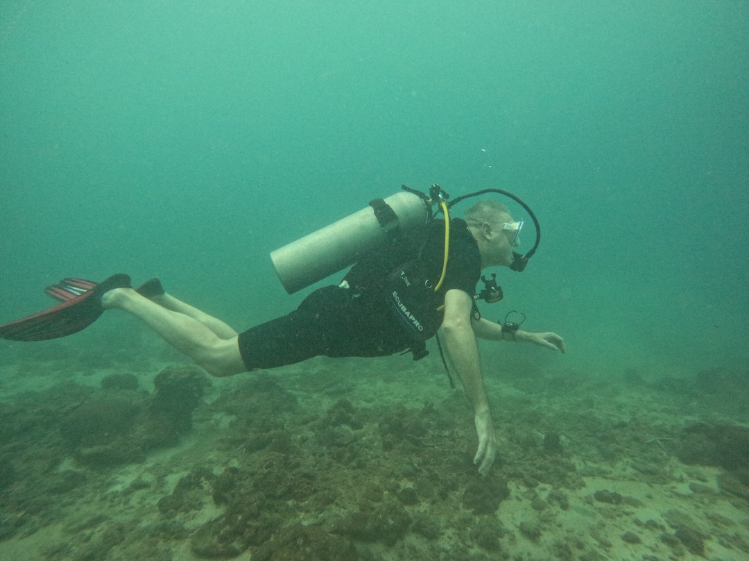 Dive Shack景点图片