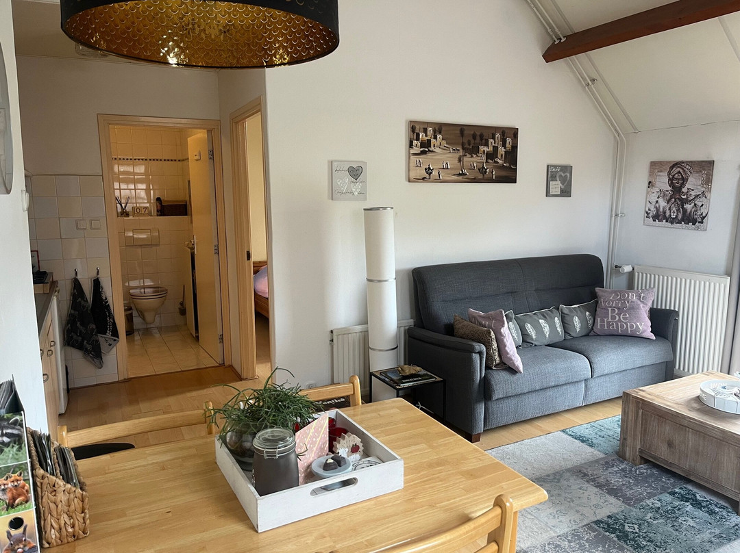 B&B Schoonloo - Boerderij Appartementen
