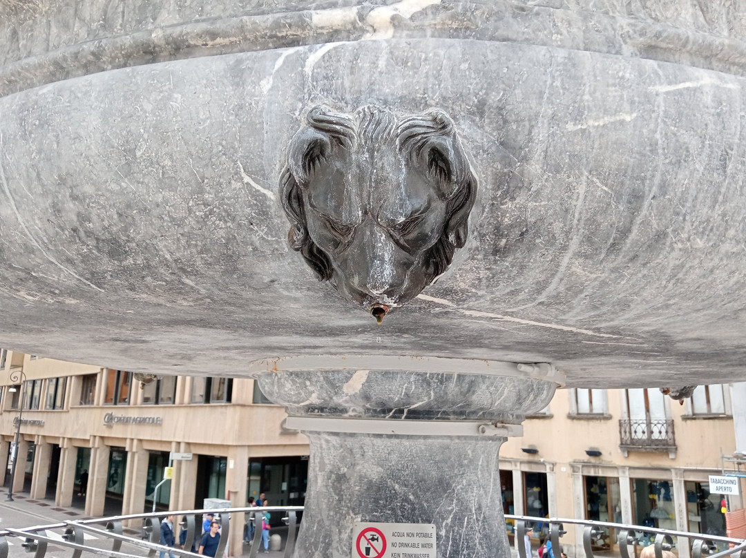Fontana del Carrara-乌迪内必去景点