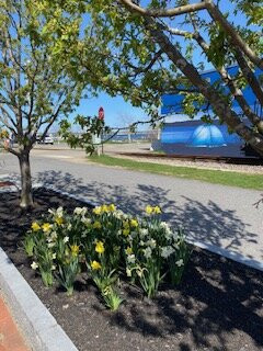 Maine Narrow Gauge Railroad Company and Museum-波特兰必去景点