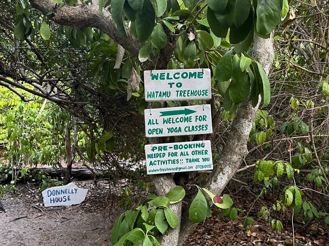 Yoga at Watamu Treehouse-瓦塔木必去景点