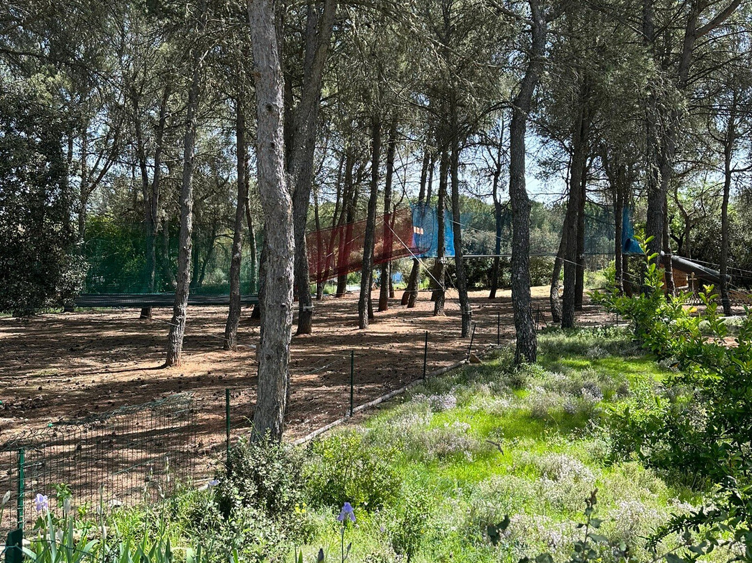 Parc Animalier Ginasservis景点图片
