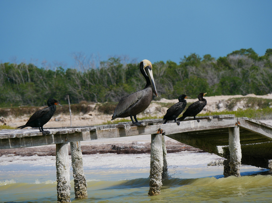 Boat tour with Martín Aguiñaga-里奥拉加托斯必去景点