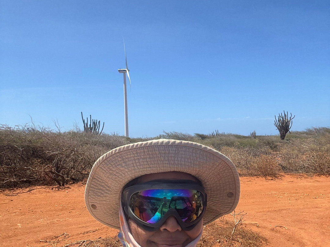 Rumba Tours Curaçao-威廉斯塔德必去景点