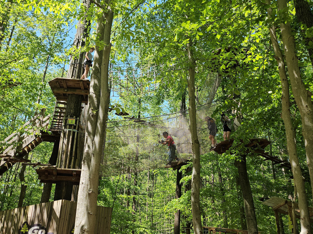 Go Ape Zipline & Adventure Park景点图片