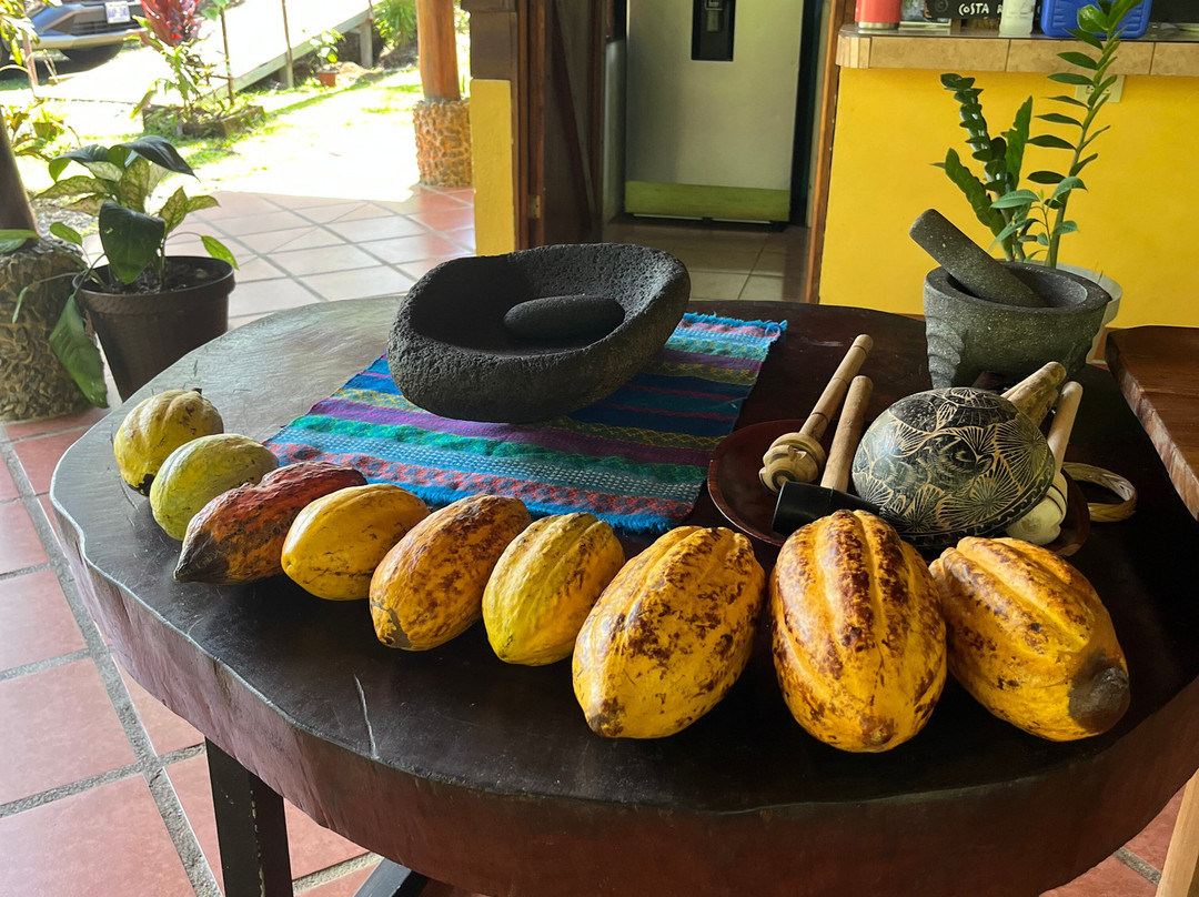 Two Little Monkeys Chocolate Tour-福德圣卡洛斯必去景点