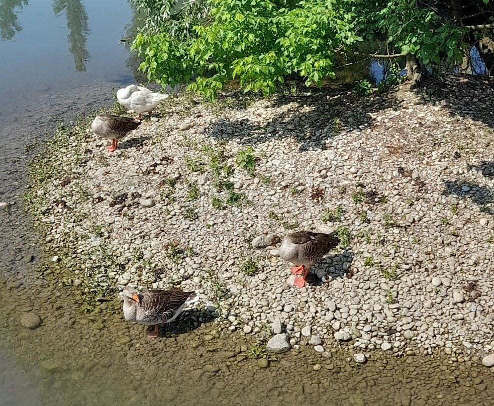 Cimitero dei Burci-Casier必去景点