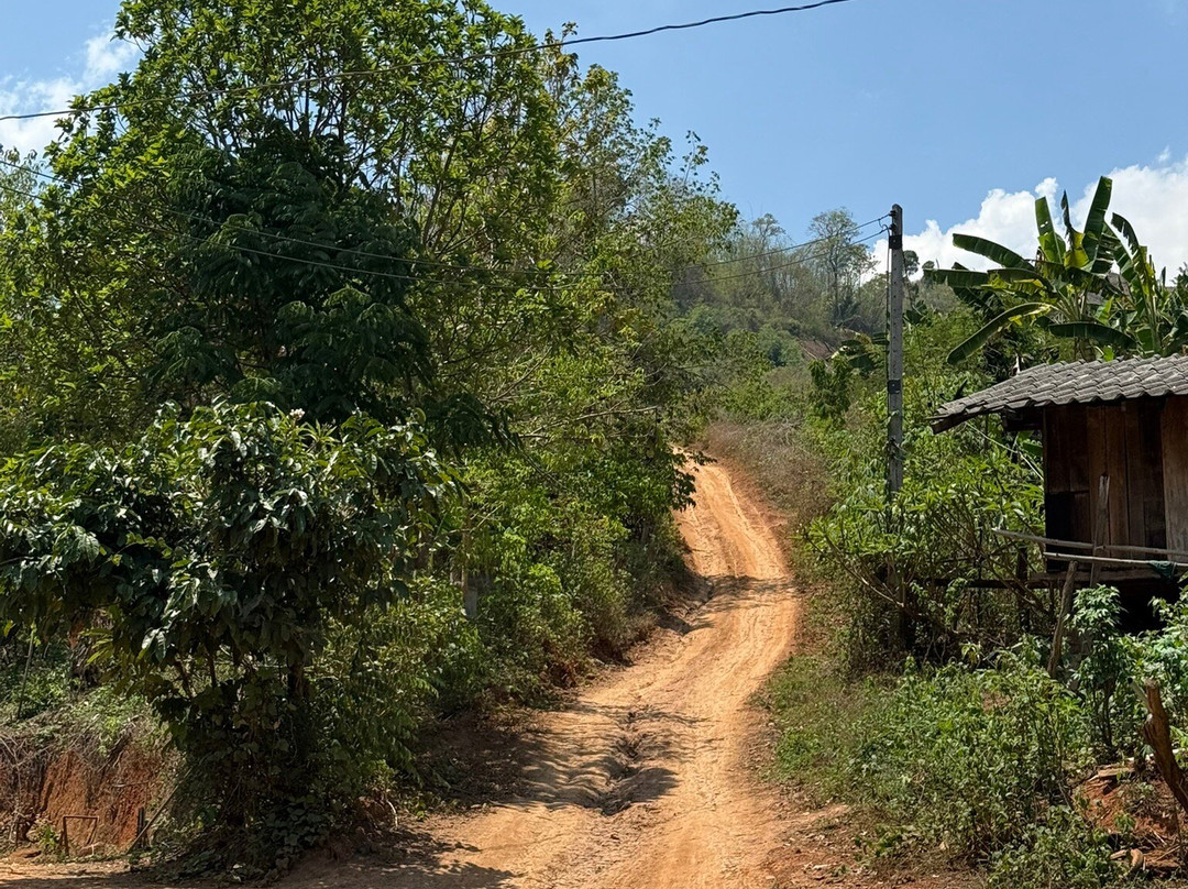 Thai Bike Tours-Nam Phrae必去景点