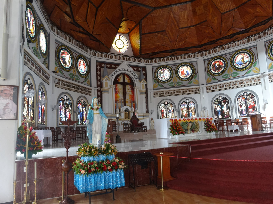 Immaculate Conception Cathedral-阿皮亚必去景点