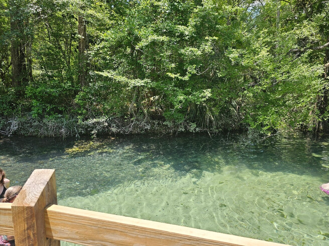 Ponce de Leon Springs State Park景点图片