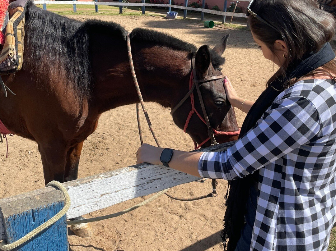 Haras Encanto Horse-蒙特贝尔德必去景点