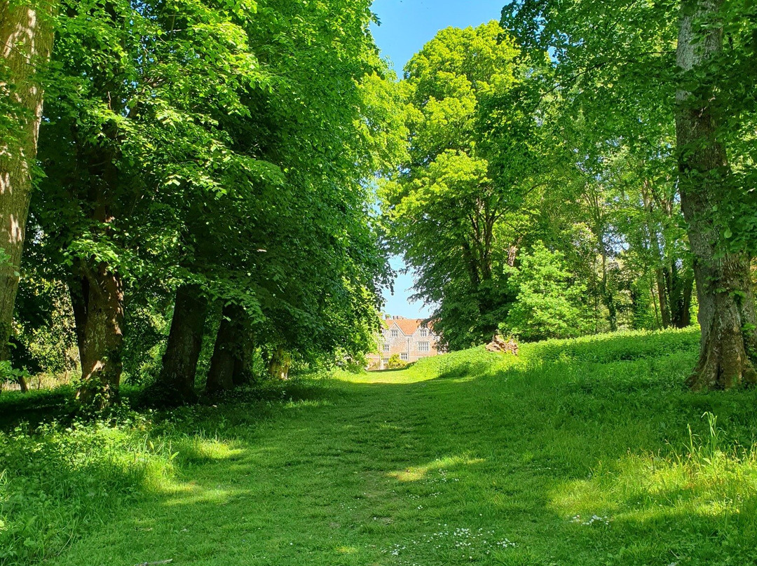 Hampshire Hawk Walks景点图片