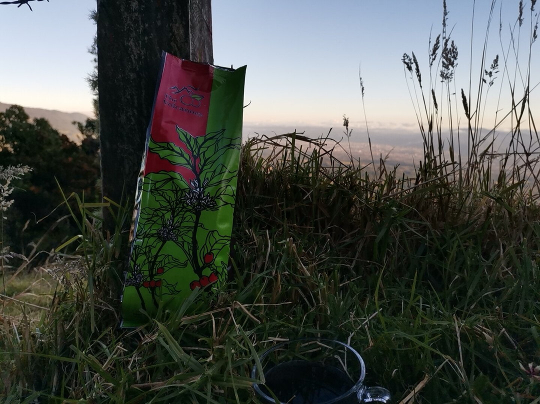 Cafe Los Volcanes-San Pedro de Poas必去景点