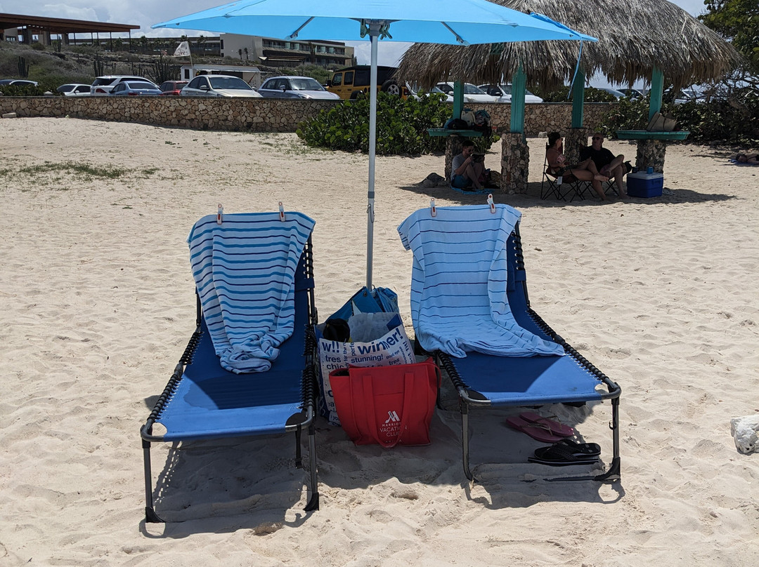 Coconut Rentals Aruba-棕榈/鹰海滩必去景点