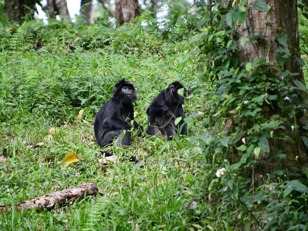 Davi Trekker-Tetebatu必去景点