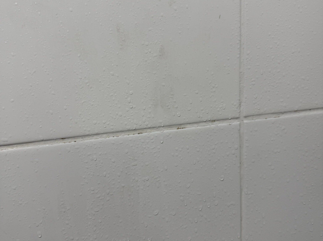 Gilgandra Motel主图