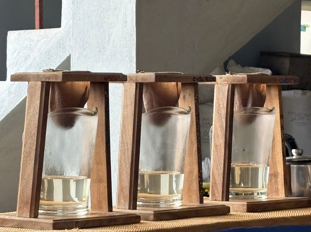 TIO JOSE COFFEE TOUR景点图片