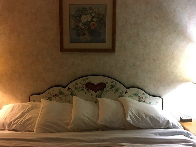 Swiss Alps Inn主图