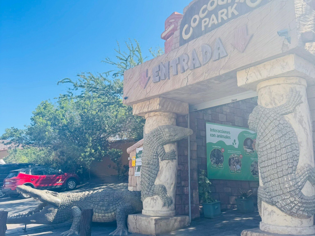 Cocodrilo Park Gran Canaria景点图片