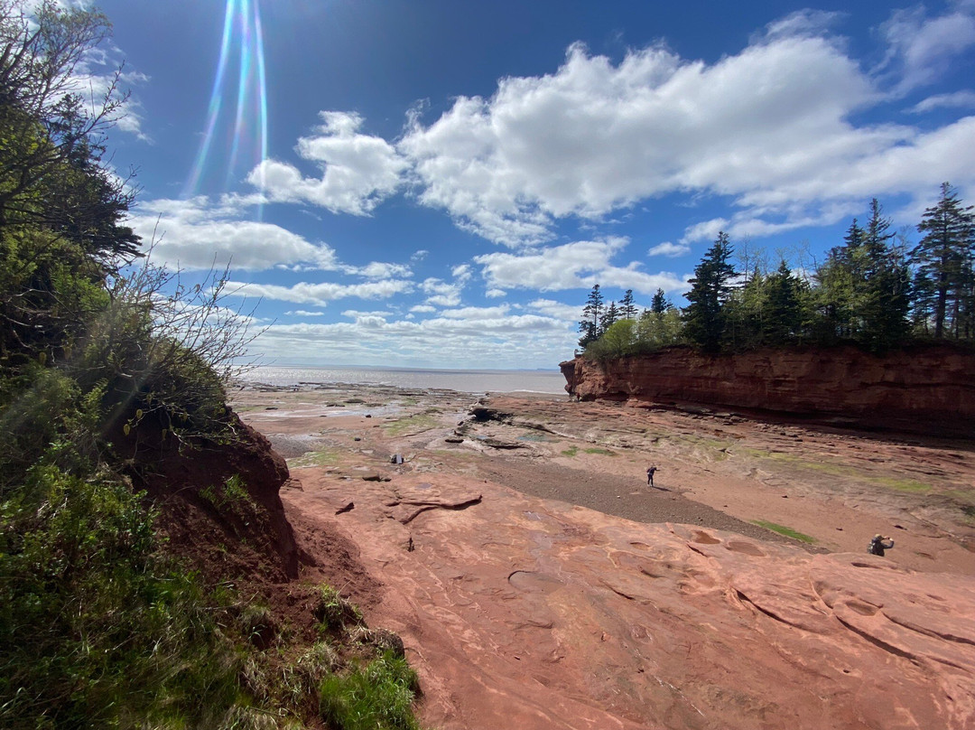 Burntcoat Head Park-Noel必去景点