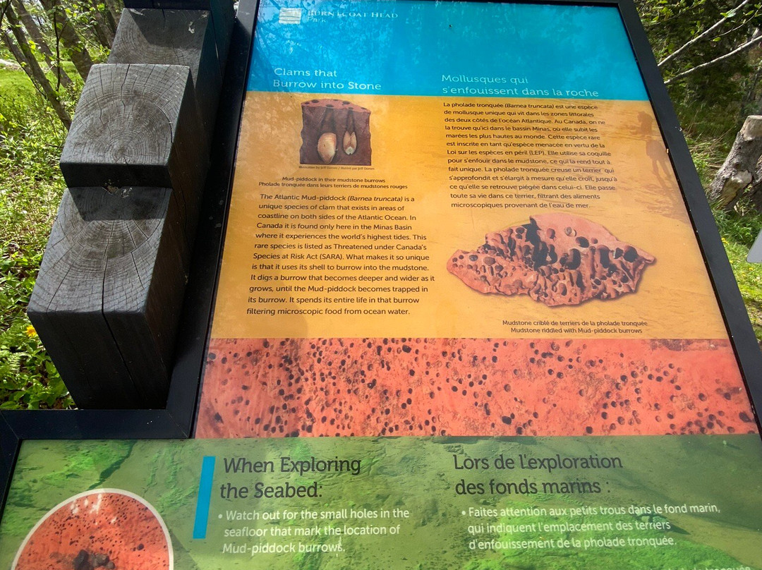 Burntcoat Head Park-Noel必去景点