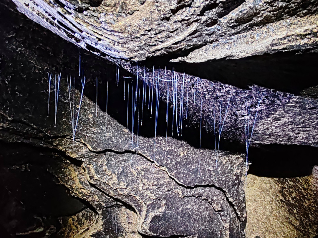 Aventurate - Private Tour-Jalpan de Serra必去景点