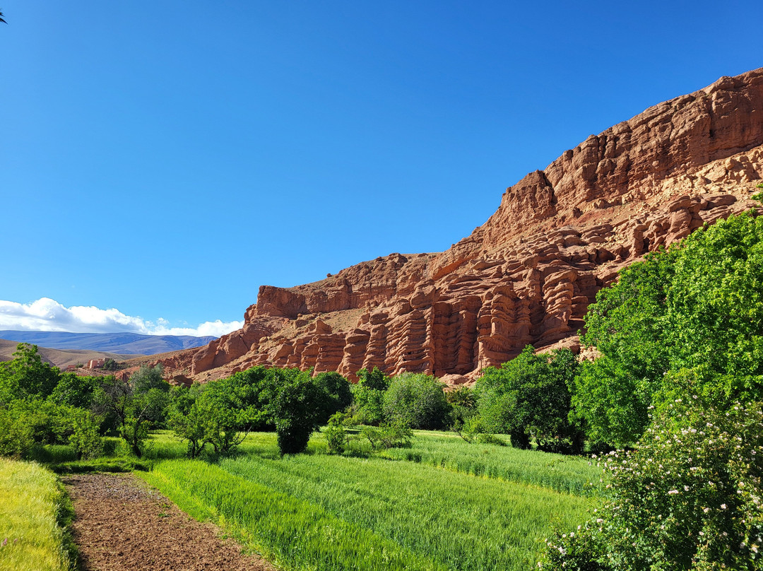 Sama Tours Maroc-马拉喀什必去景点