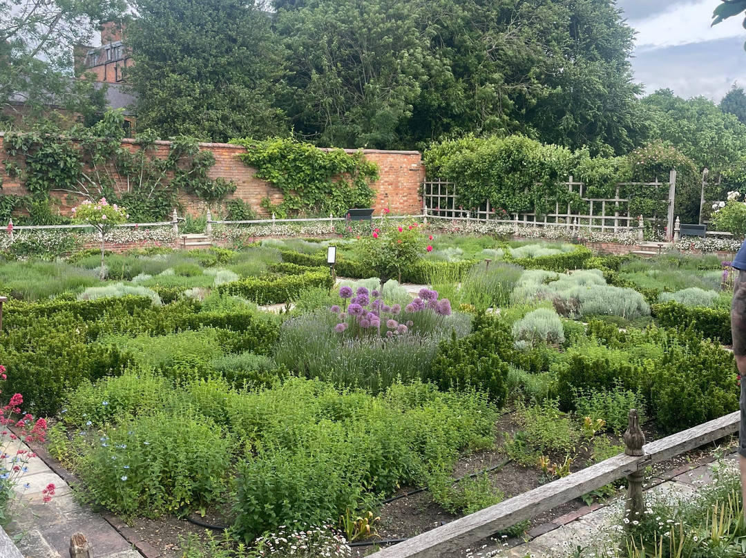 Shakespeare's New Place景点图片