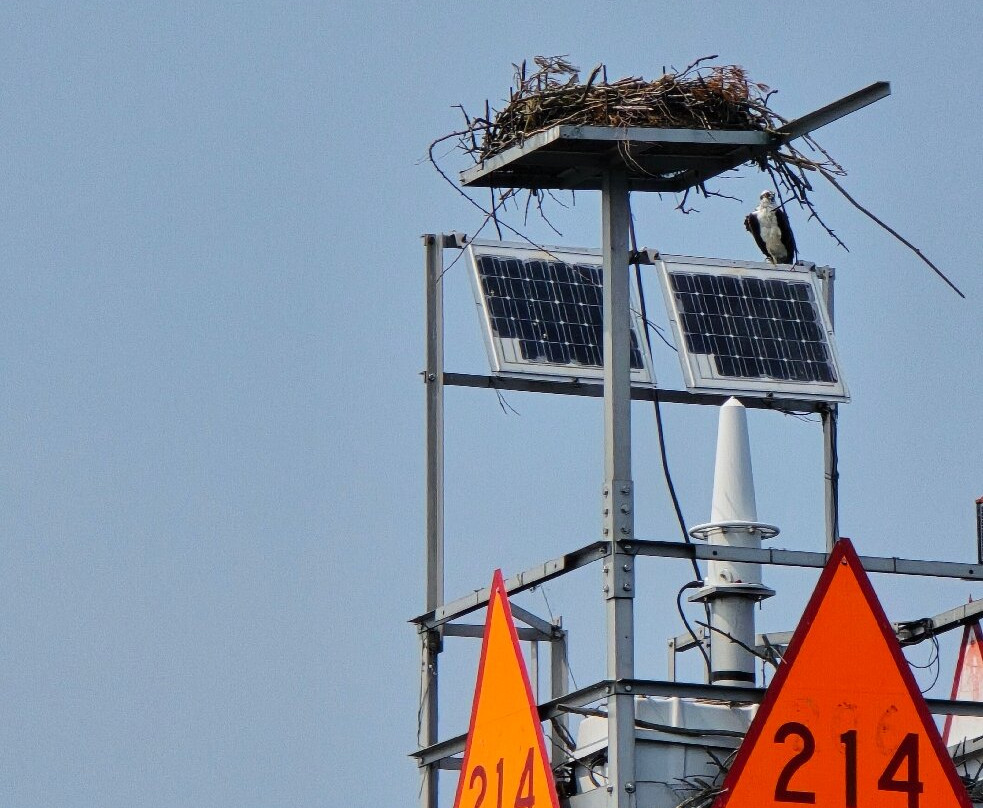 Clayton Island Tours-Clayton必去景点