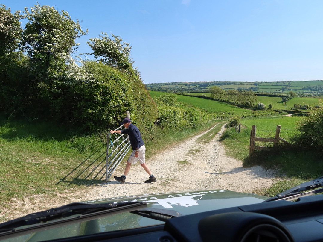 Purbeck Safari景点图片
