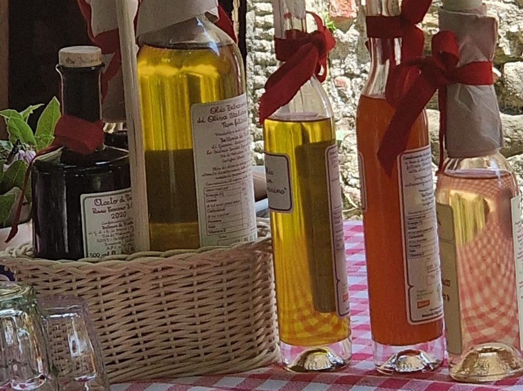 Fattoria La Vialla景点图片