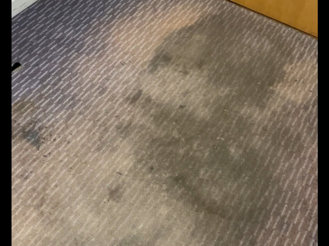 快捷假日雷迪奇酒店主图