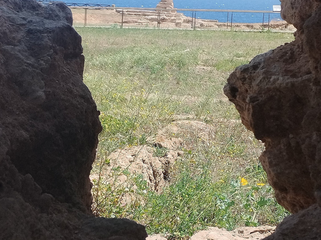 Museo e Parco Archeologico Nazionale di Capo Colonna-克罗托内必去景点