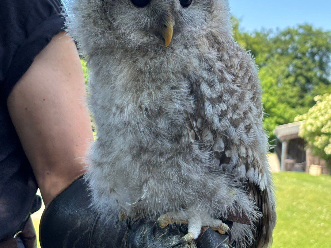 Adler und Wolfspark-Pelm必去景点