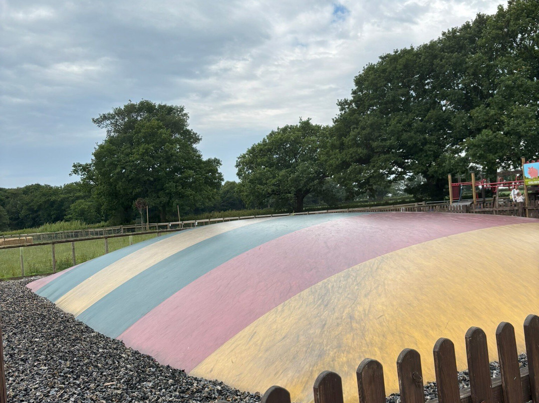 Attwell Farm Park-雷迪奇必去景点