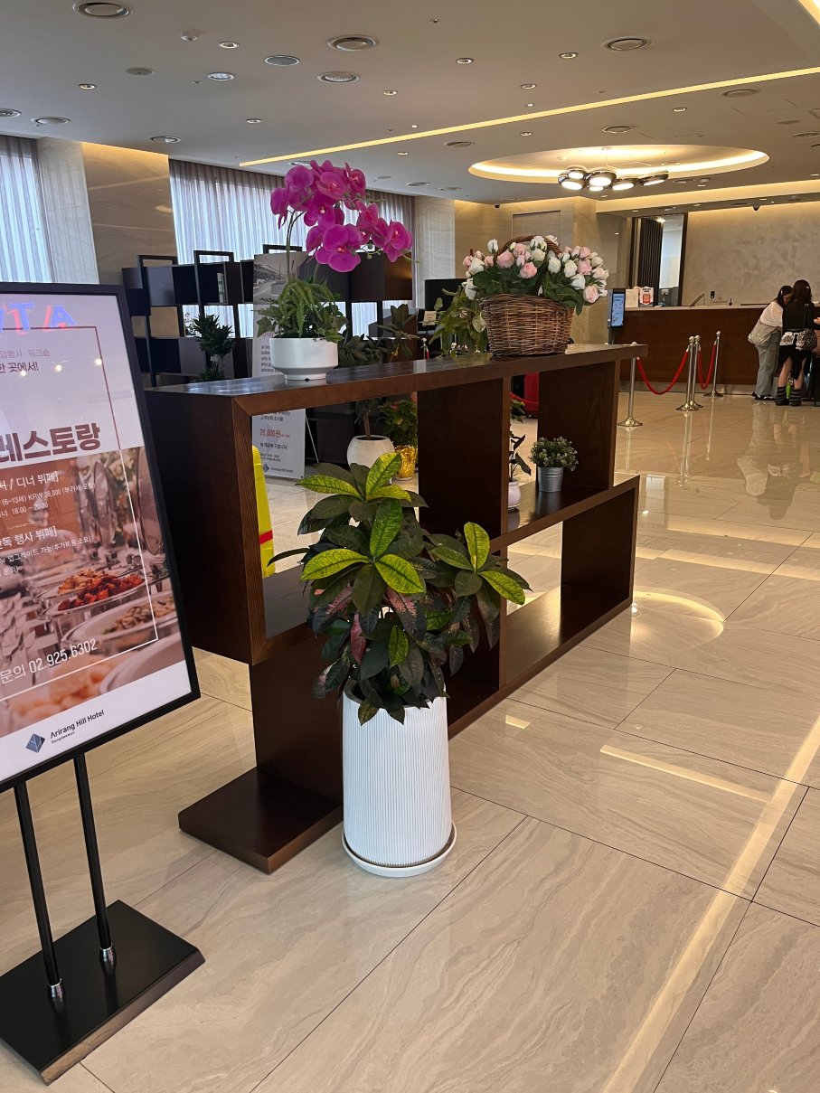 东大门阿里郎希尔酒店-浴室