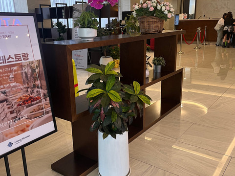 东大门阿里郎希尔酒店主图