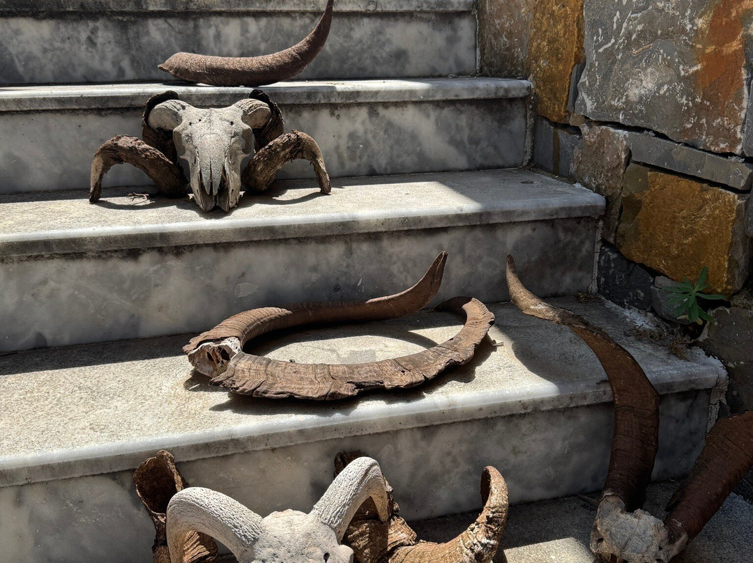 Homo Sapiens Village-Ano Kera必去景点