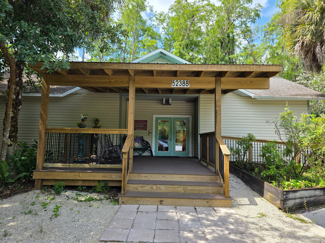 Clyde Butcher's Big Cypress Gallery-奥乔皮必去景点