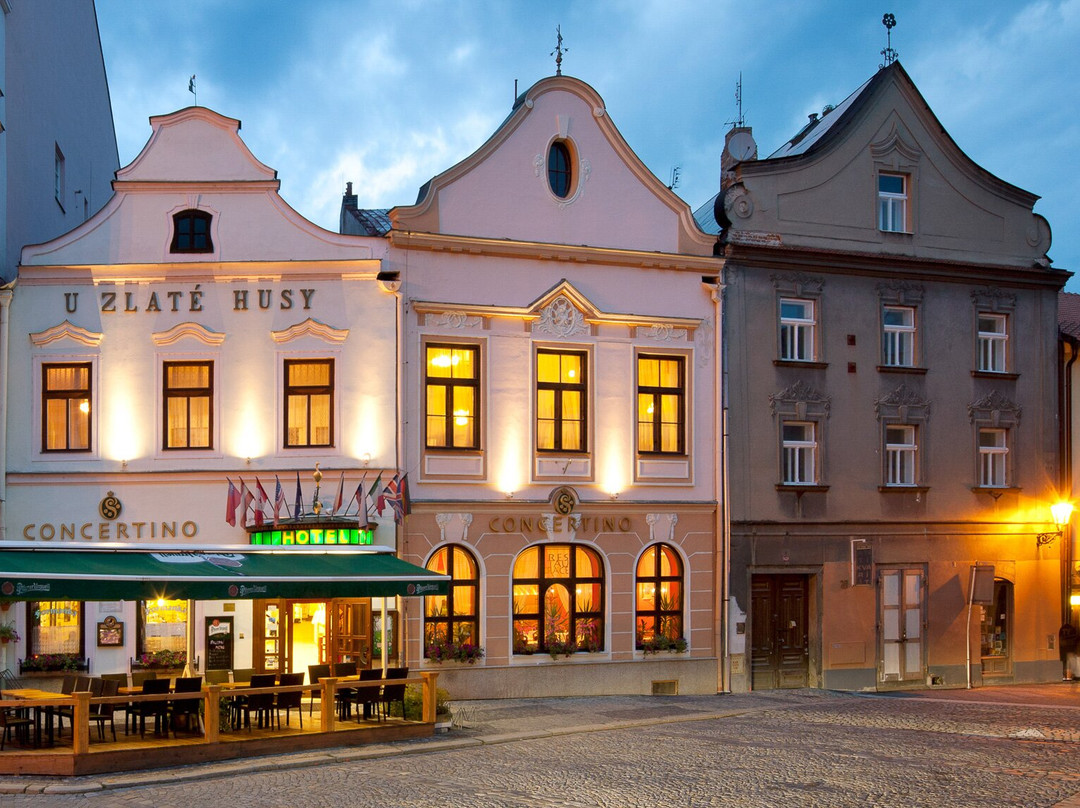 Hotel Concertino Zlata Husa主图