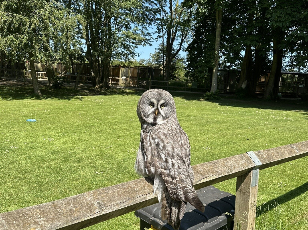 Bridlington Animal Park景点图片