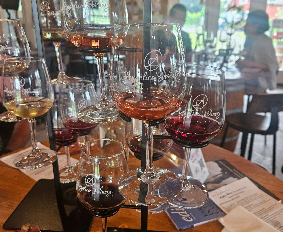 Angelico Winery-Lambertville必去景点