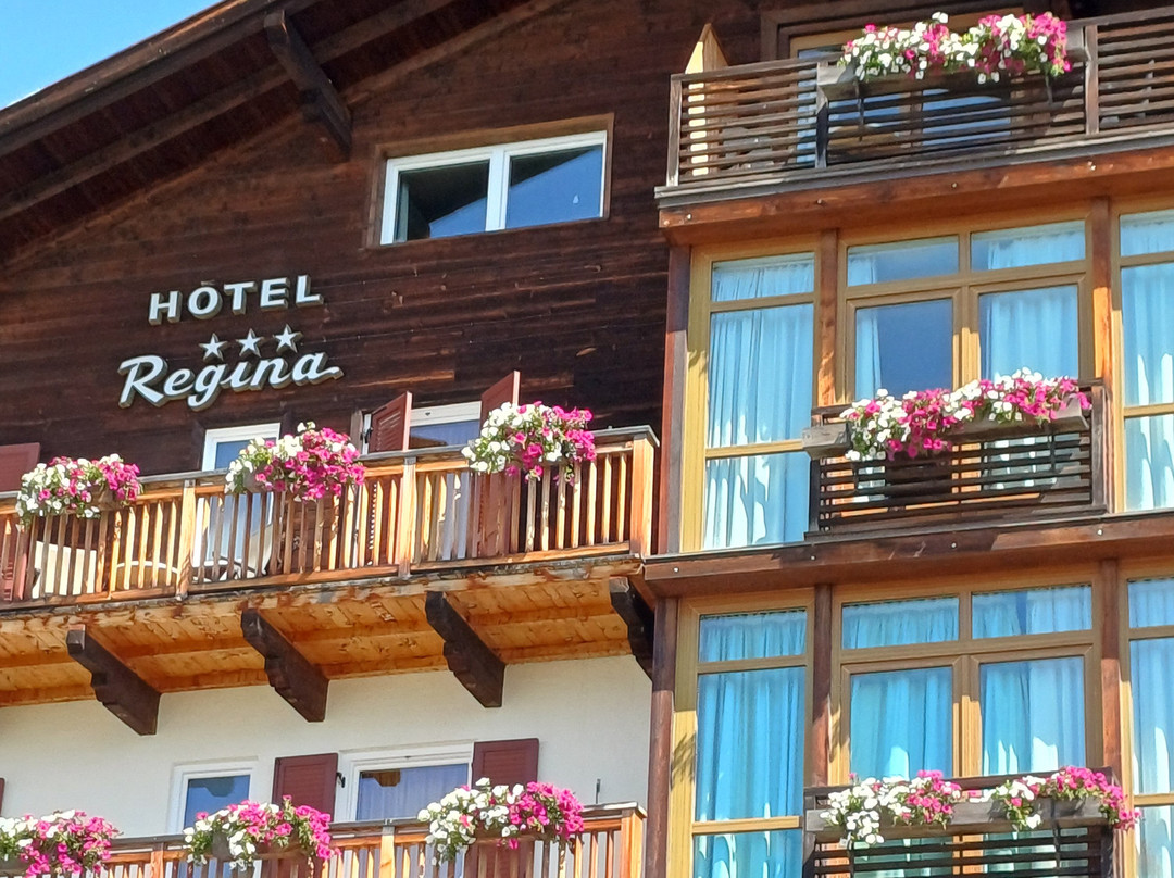 Regina Wanderhotel主图