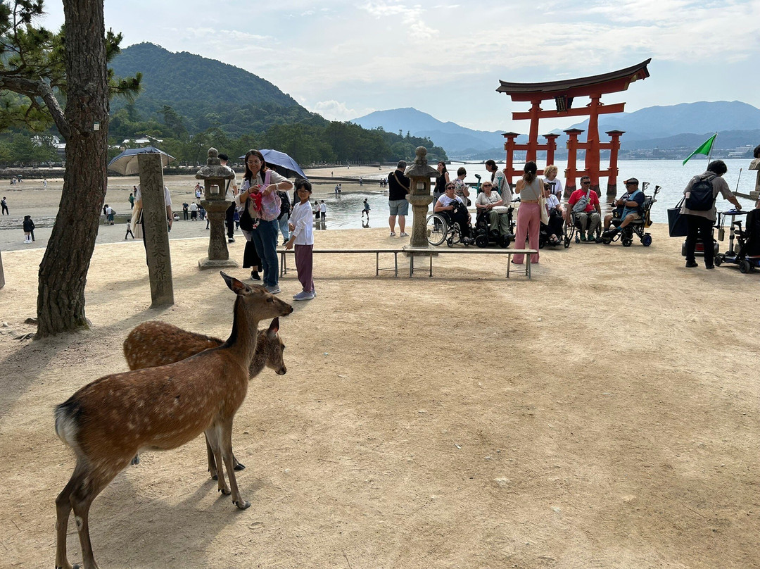 Itsukushima Shrine Torii-廿日市市必去景点