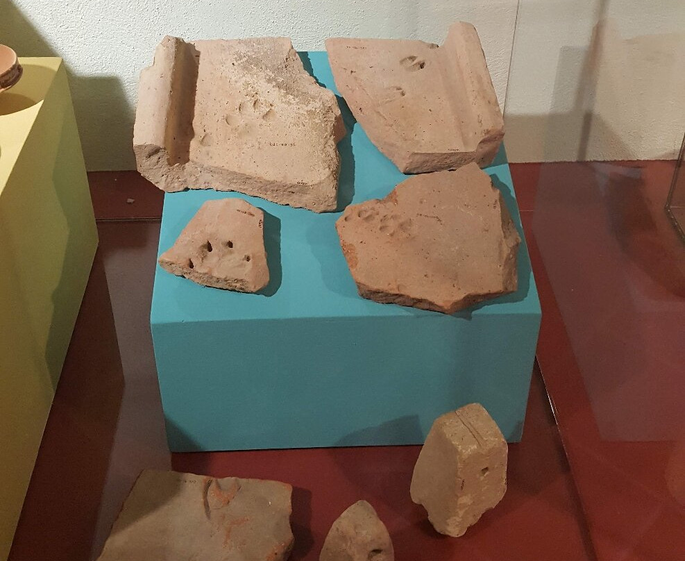 Museo Archeologico e della Vite e del Vino-Scansano必去景点
