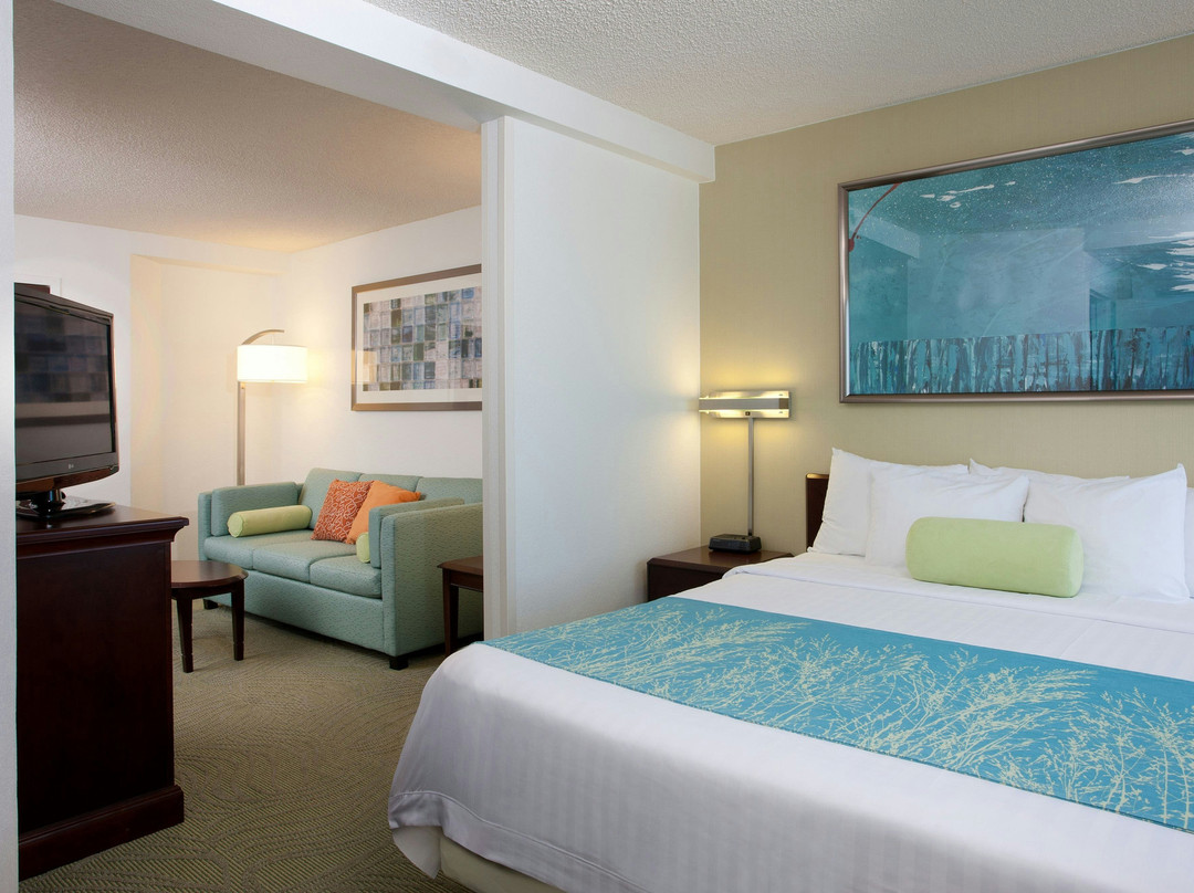 霍桑市酒店住宿-Springhill Suites Los Angeles Lax/manhattan Beach