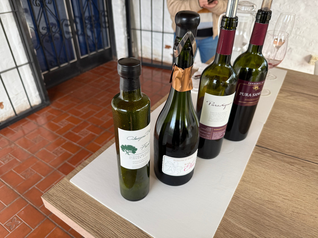 Domaine St Diego-门多萨必去景点