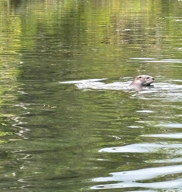 Alexander Springs-Altoona必去景点