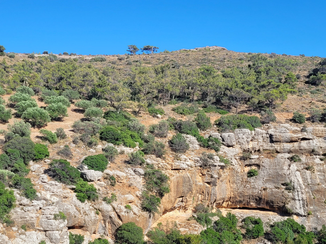 Buggy safari in Koutsouras by Rocket Adventures-Koutsouras必去景点